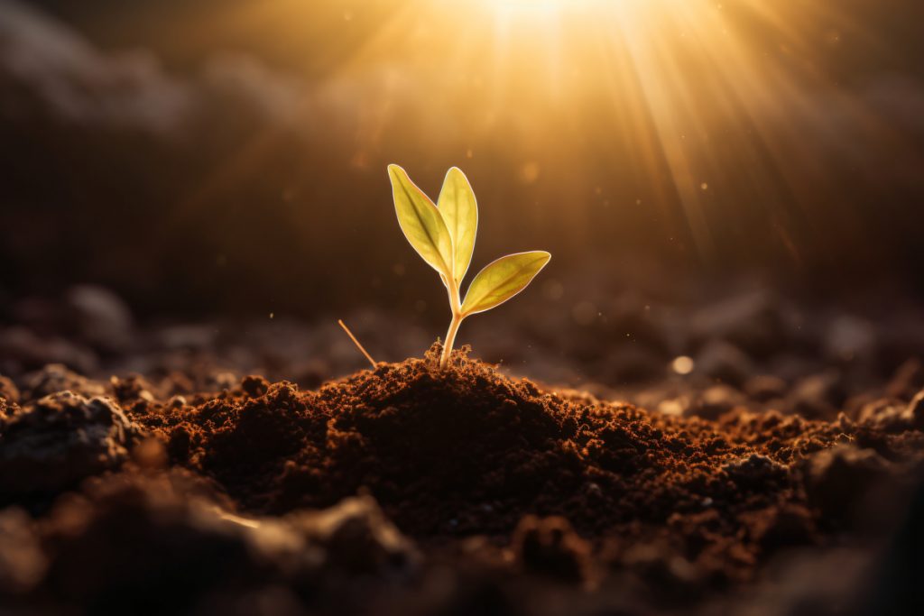 The Parable of the Sower - Good Soil and Abundant Harvest